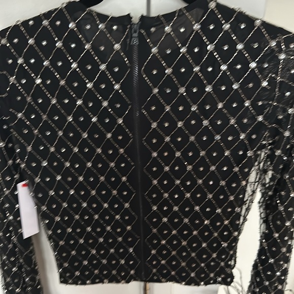 Alice and Olivia embelished feather top - Picture 3 of 7